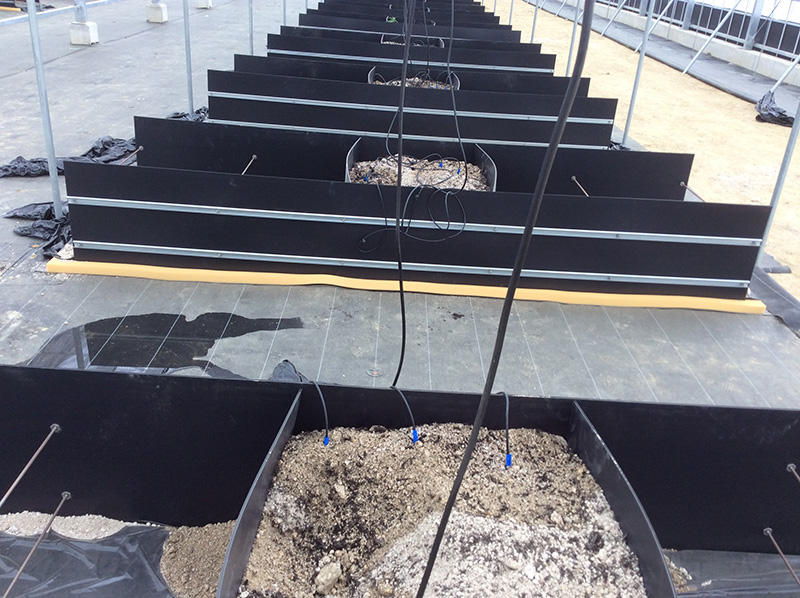 真砂土活用事例