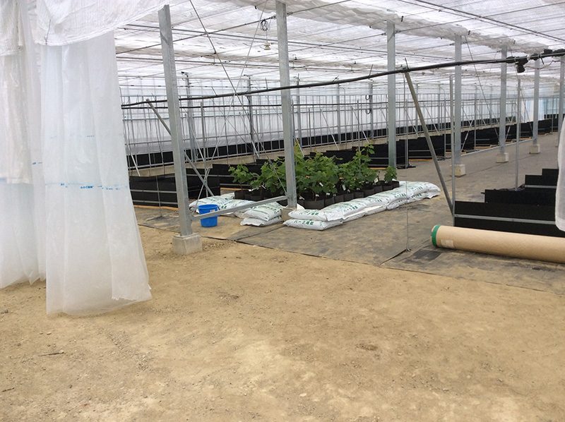 真砂土活用事例