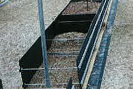 岡山ぶどう農場